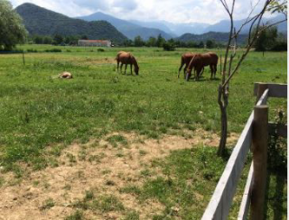 Agriturismo distrutto dalle fiamme nel Cuneese